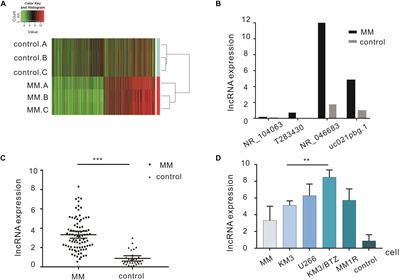 Upregulation of lncRNA NR_046683 Serves as a Prognostic Biomarker and Potential Drug Target for Multiple Myeloma